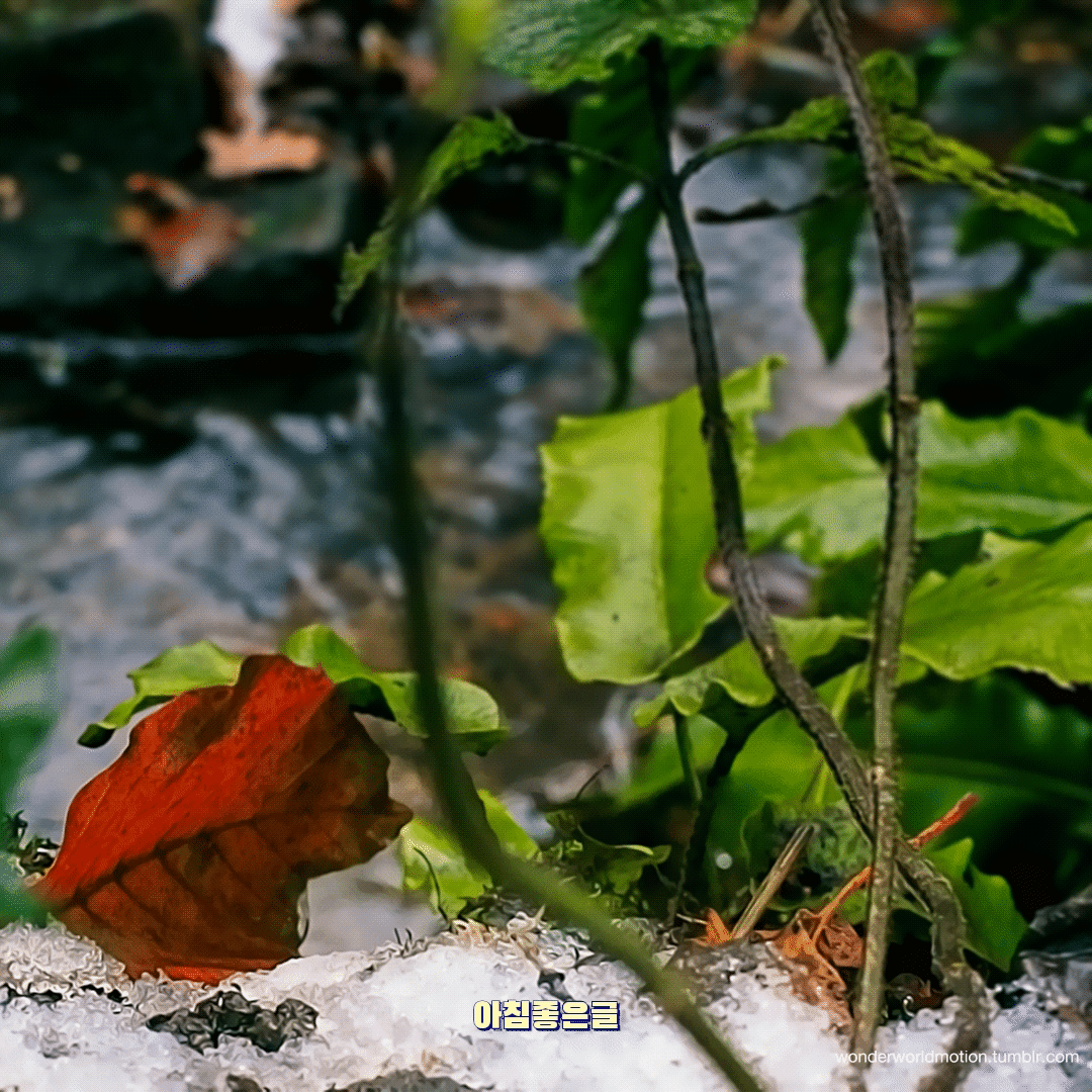 피드에 업로드 된 이미지