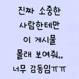 피드에 업로드 된 이미지