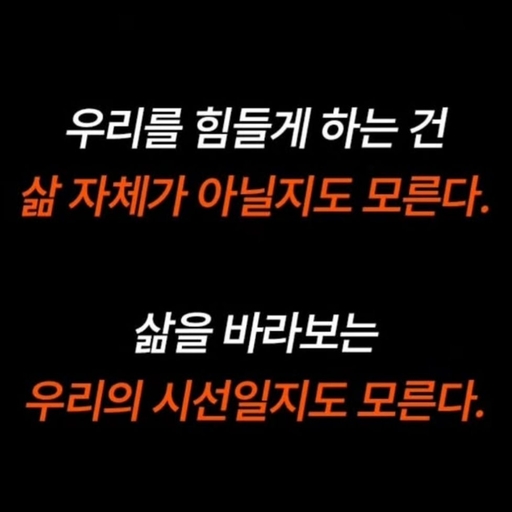 피드 이미지