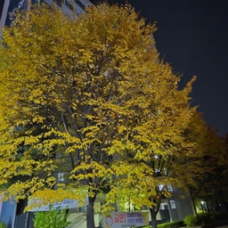 피드에 업로드 된 이미지