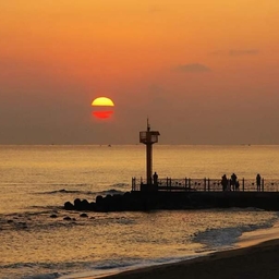 피드에 업로드 된 이미지