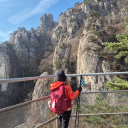 피드에 업로드 된 이미지