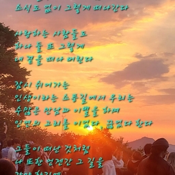 피드에 업로드 된 이미지