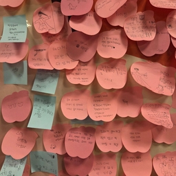 피드에 업로드 된 이미지