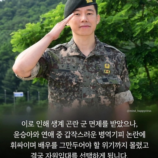 피드 이미지