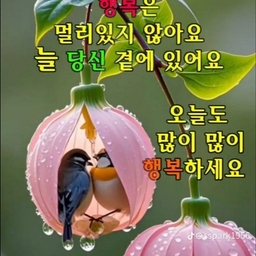 ํผ๋์ ์
๋ก๋ ๋ ์ด๋ฏธ์ง