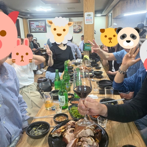 피드 이미지