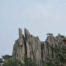 피드에 업로드 된 이미지