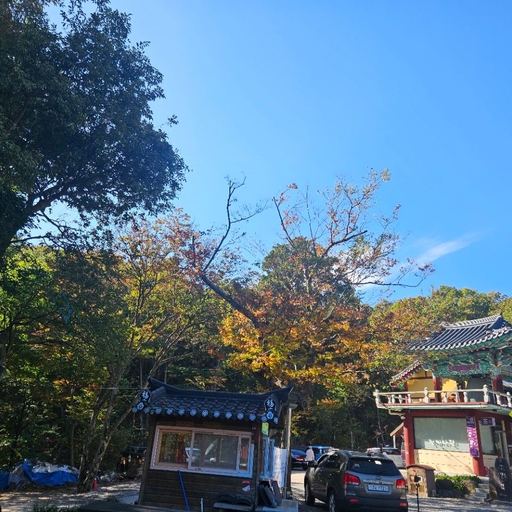 피드 이미지