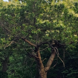 피드에 업로드 된 이미지