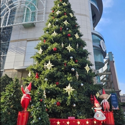 피드에 업로드 된 이미지