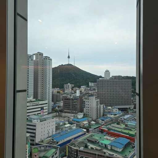 피드 이미지