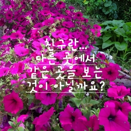 피드에 업로드 된 이미지