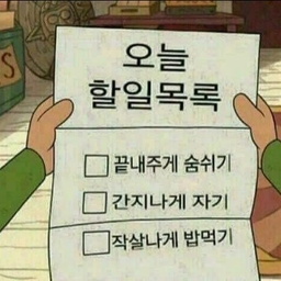 피드에 업로드 된 이미지