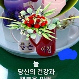 피드에 업로드 된 이미지