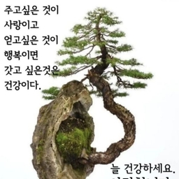 피드에 업로드 된 이미지