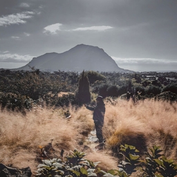피드에 업로드 된 이미지