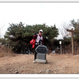 피드에 업로드 된 이미지