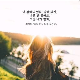 피드에 업로드 된 이미지