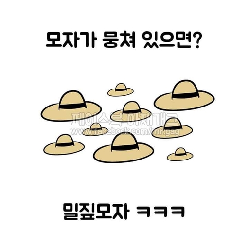 피드 이미지