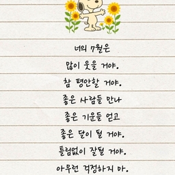 피드에 업로드 된 이미지