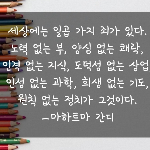 피드 이미지