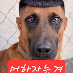 νΌλμ μ
λ‘λ λ μ΄λ―Έμ§