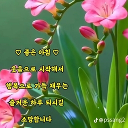 피드에 업로드 된 이미지