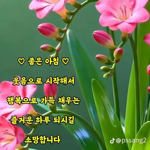 피드 이미지