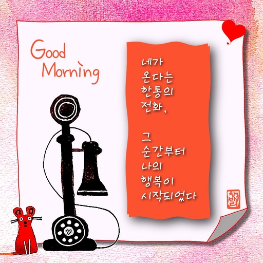 피드 이미지