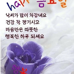 피드에 업로드 된 이미지