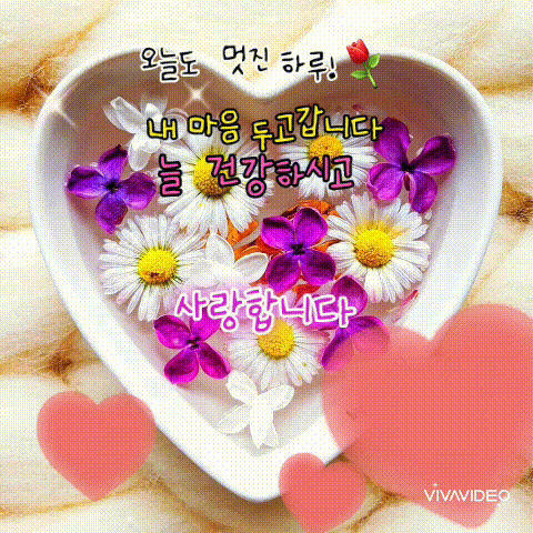 피드 이미지