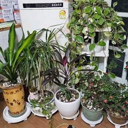 피드에 업로드 된 이미지