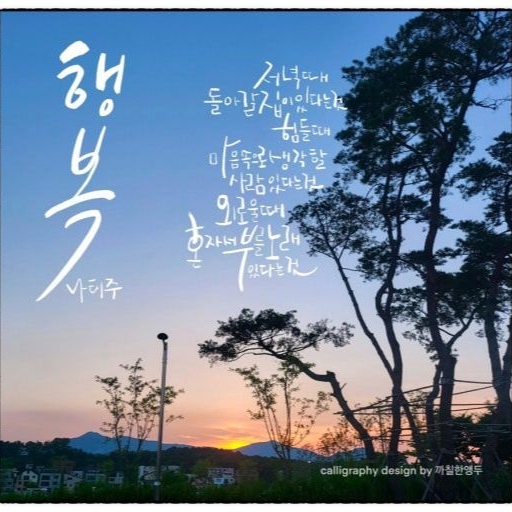 피드 이미지