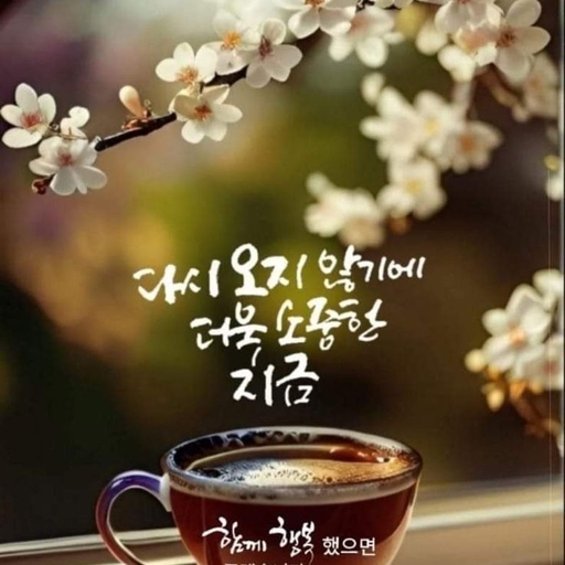 피드 이미지