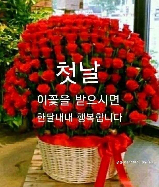 피드 이미지