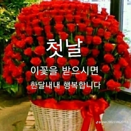 피드에 업로드 된 이미지