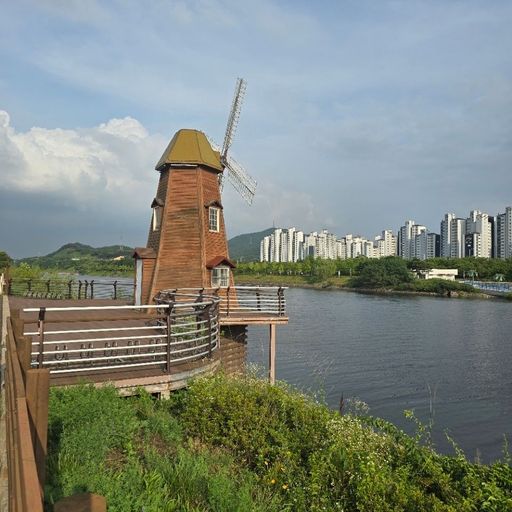 피드 이미지