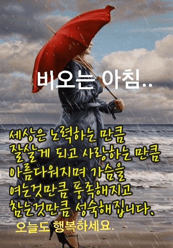 피드에 업로드 된 이미지