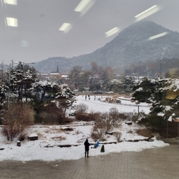 피드에 업로드 된 이미지