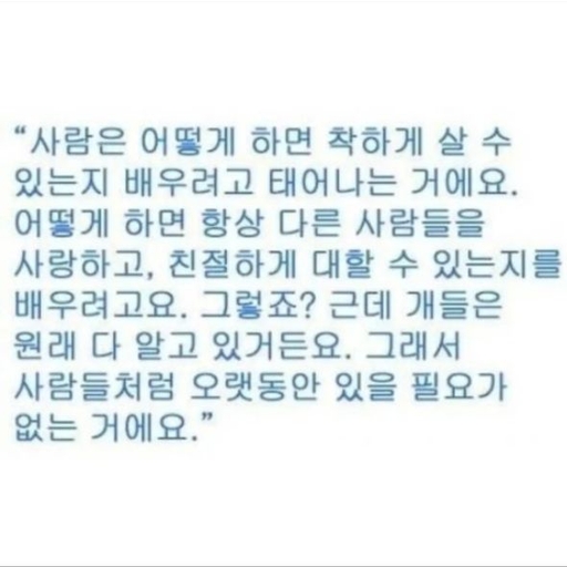 피드 이미지