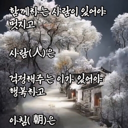 피드에 업로드 된 이미지
