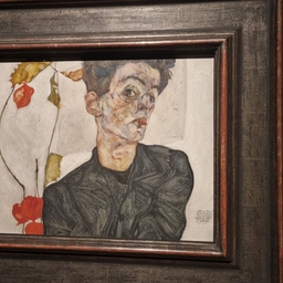 피드에 업로드 된 이미지