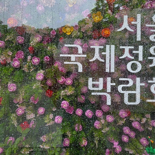 피드 이미지