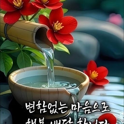 피드에 업로드 된 이미지