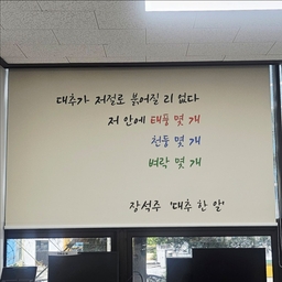 피드에 업로드 된 이미지