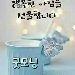 피드에 업로드 된 이미지