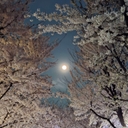 피드 작성자 프로필