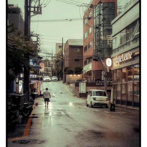 피드 이미지