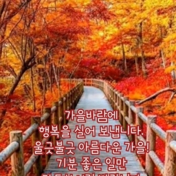 피드에 업로드 된 이미지